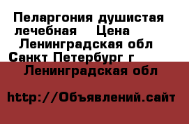 Пеларгония душистая (лечебная) › Цена ­ 100 - Ленинградская обл., Санкт-Петербург г.  »    . Ленинградская обл.